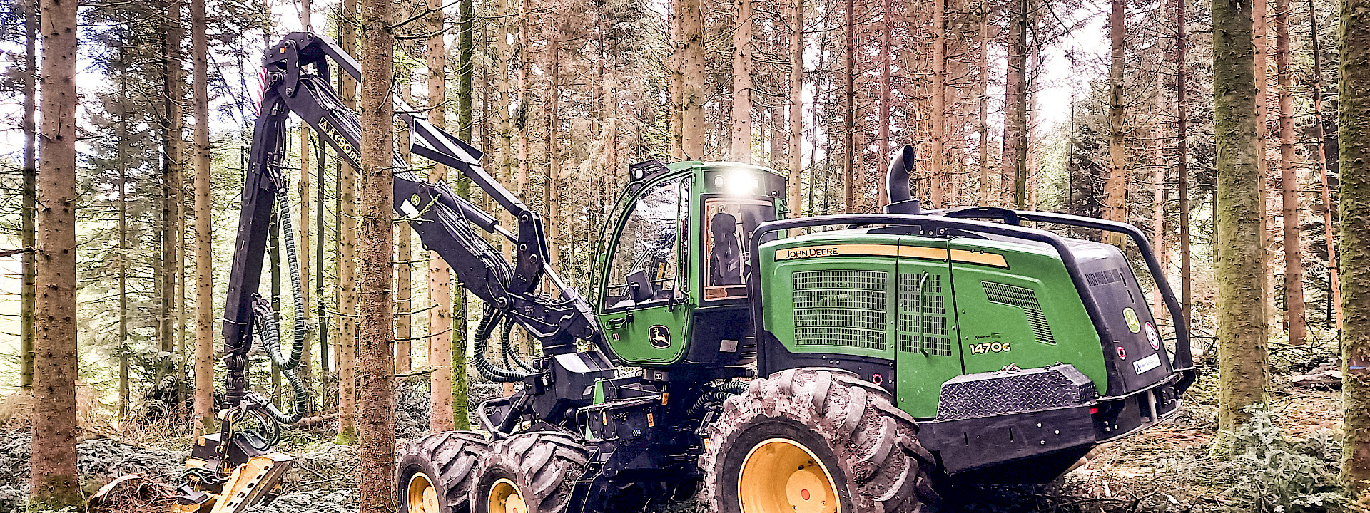 Robert Aebi Standort Forestry