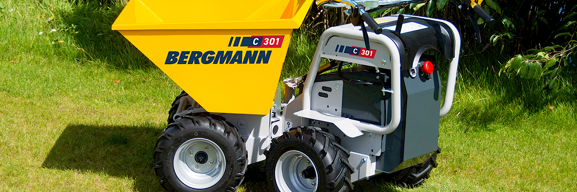 Bergmann Minidumper C301